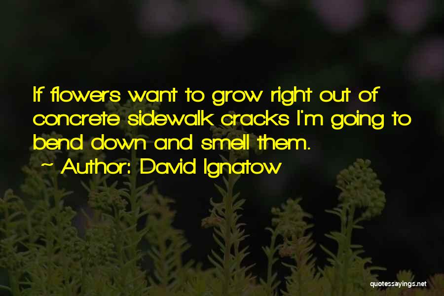 David Ignatow Quotes 2118876