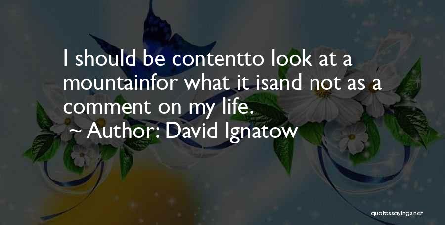 David Ignatow Quotes 486511