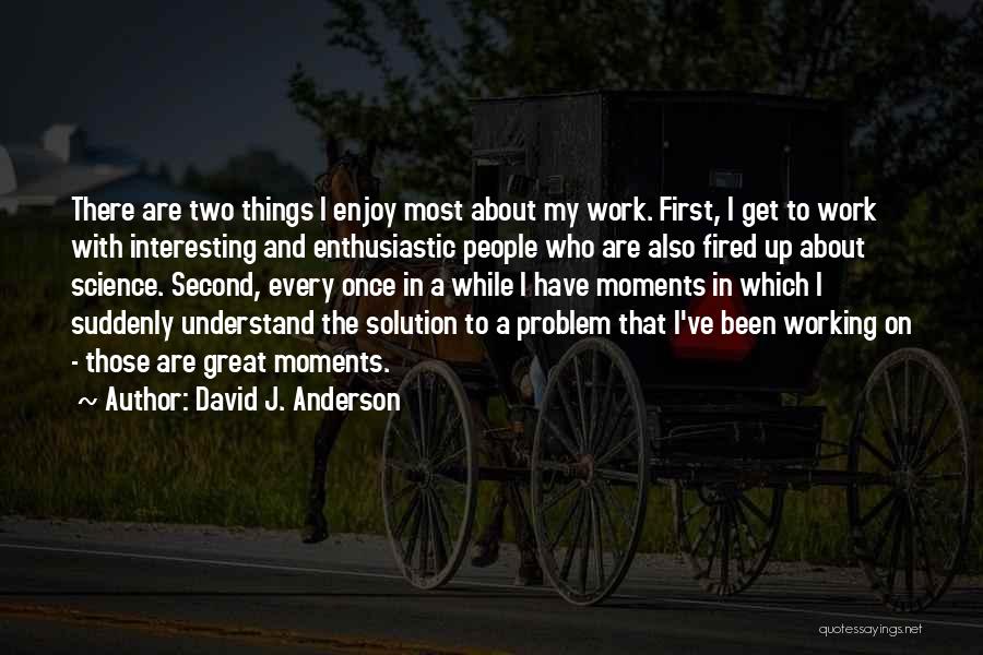 David J. Anderson Quotes 1192428