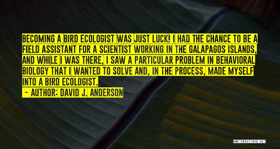 David J. Anderson Quotes 1439643