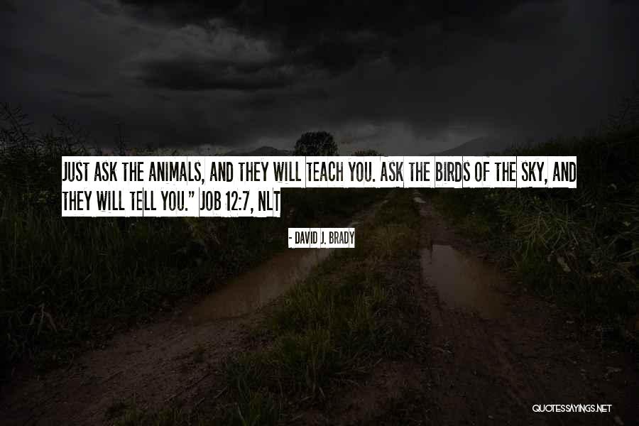 David J. Brady Quotes 585679 David J. Brady Quotes 585679
