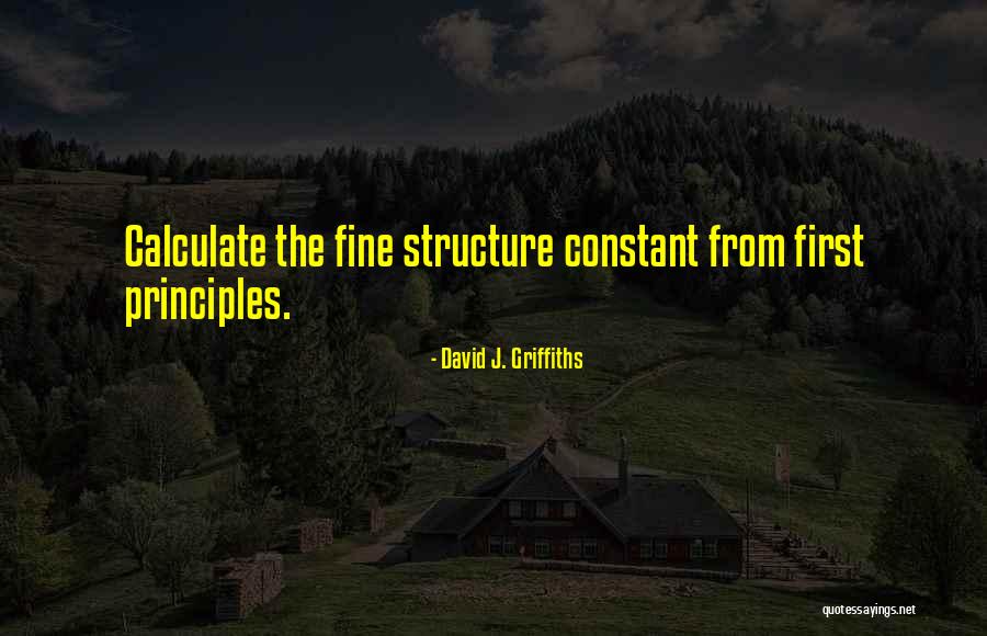 David J. Griffiths Quotes 1090879