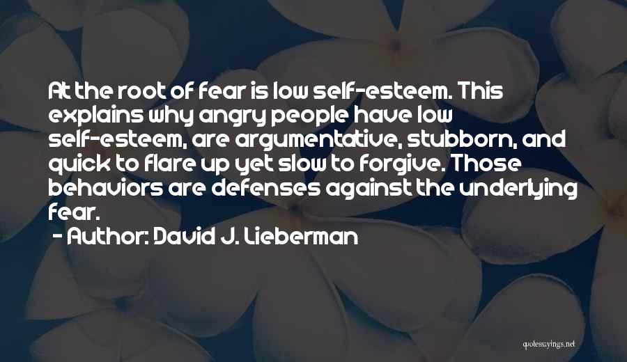 David J. Lieberman Quotes 1387481