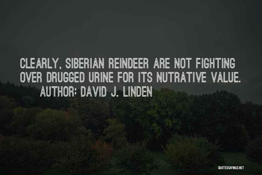 David J. Linden Quotes 1089248