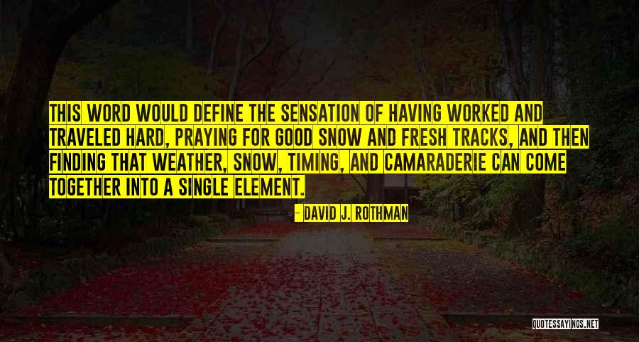 David J. Rothman Quotes 1397435