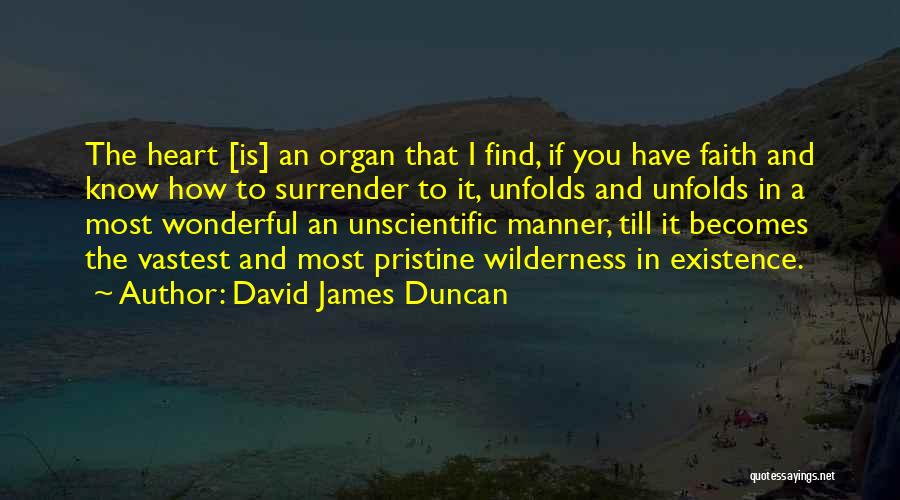 David James Duncan Quotes 1486912