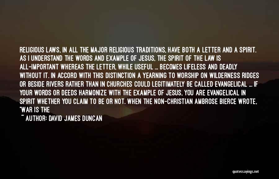 David James Duncan Quotes 1595757