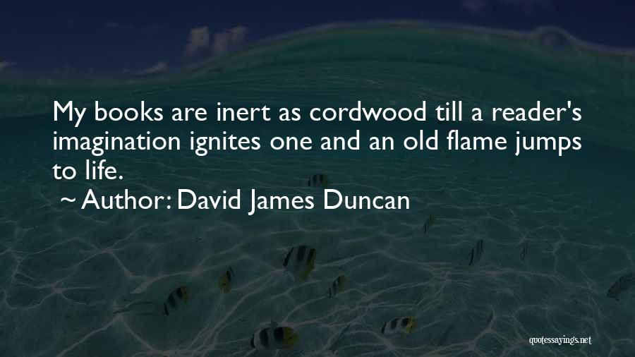 David James Duncan Quotes 1884091