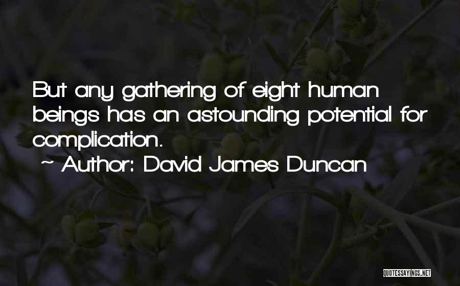 David James Duncan Quotes 1904257