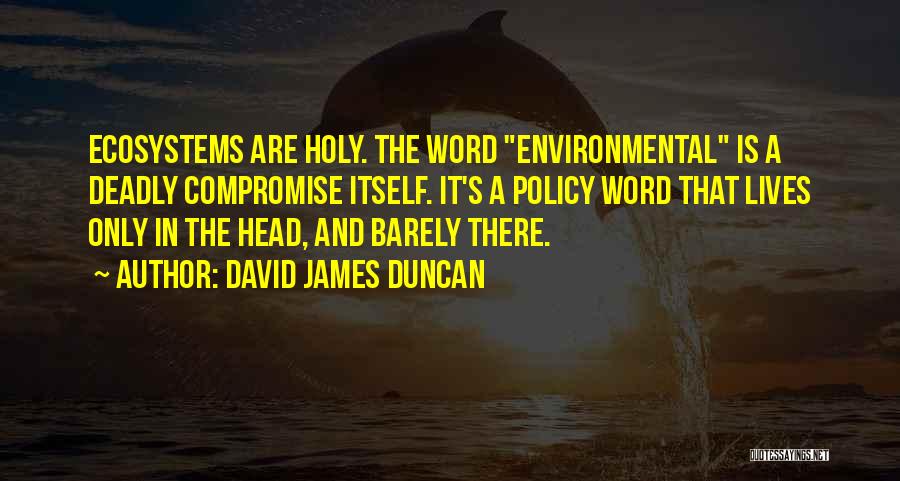 David James Duncan Quotes 1952792