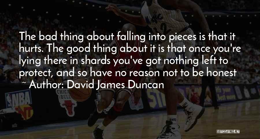 David James Duncan Quotes 2074619