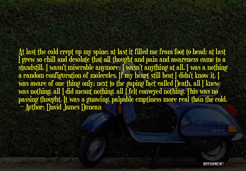 David James Duncan Quotes 2076498