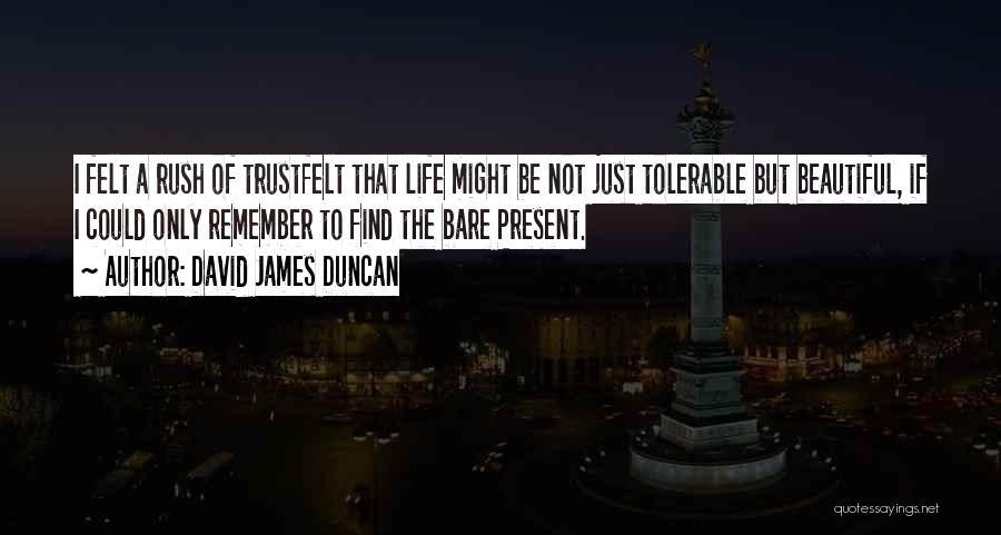 David James Duncan Quotes 2242459