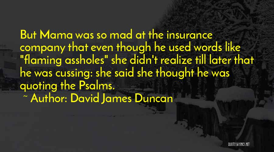 David James Duncan Quotes 677196