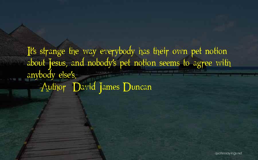 David James Duncan Quotes 719158