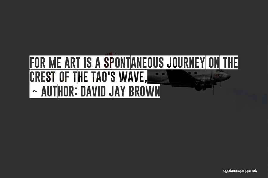 David Jay Brown Quotes 1450234