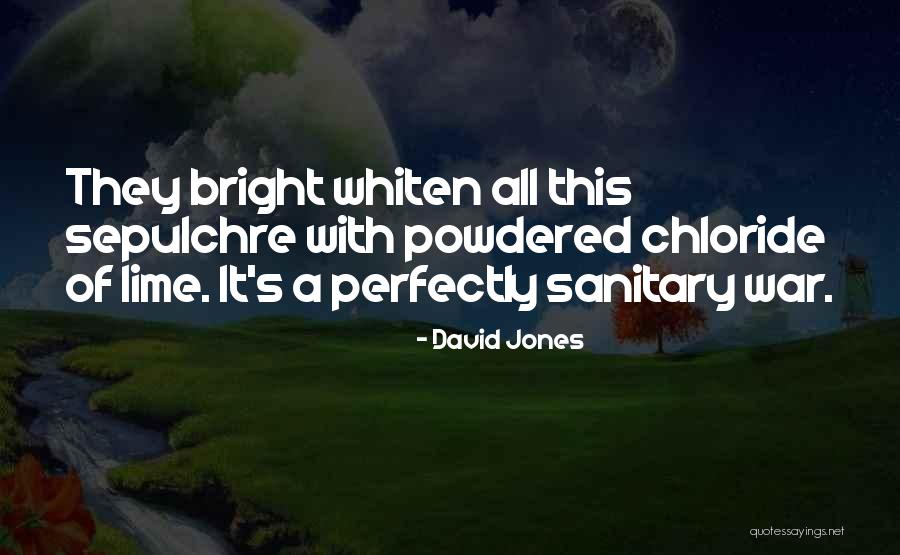 David Jones Quotes 2028828