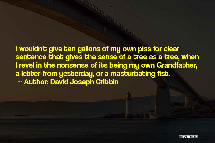 David Joseph Cribbin Quotes 1447474