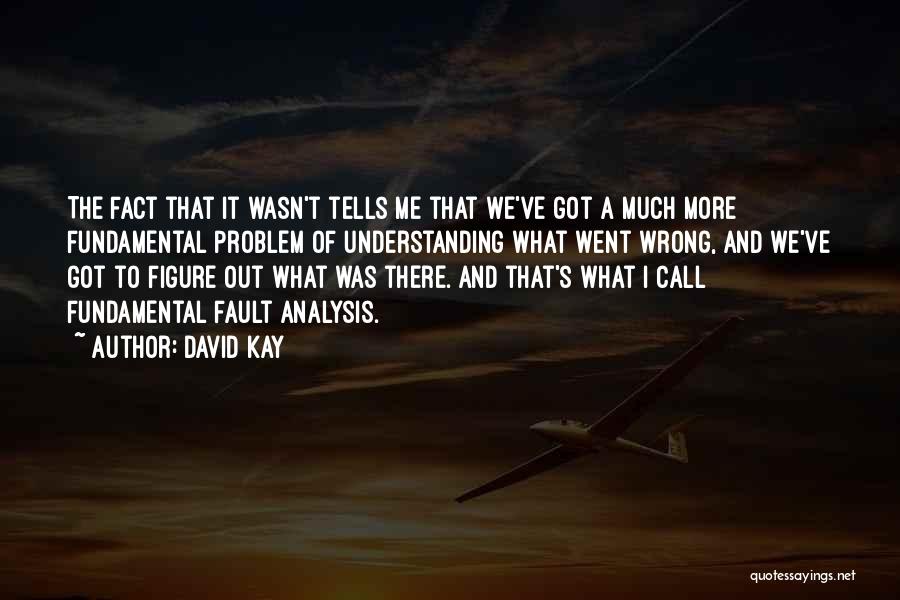 David Kay Quotes 711825