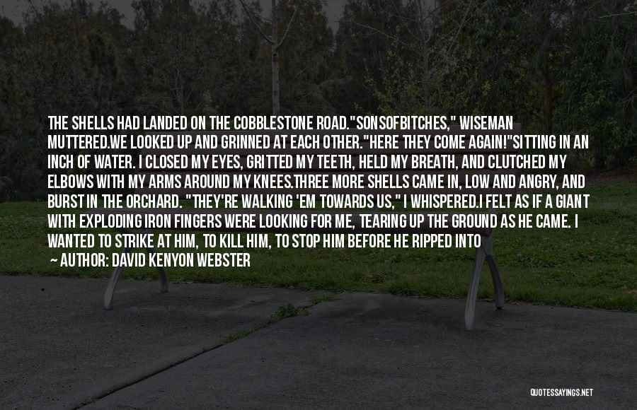 David Kenyon Webster Quotes 1000344