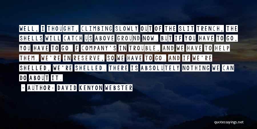 David Kenyon Webster Quotes 1640274