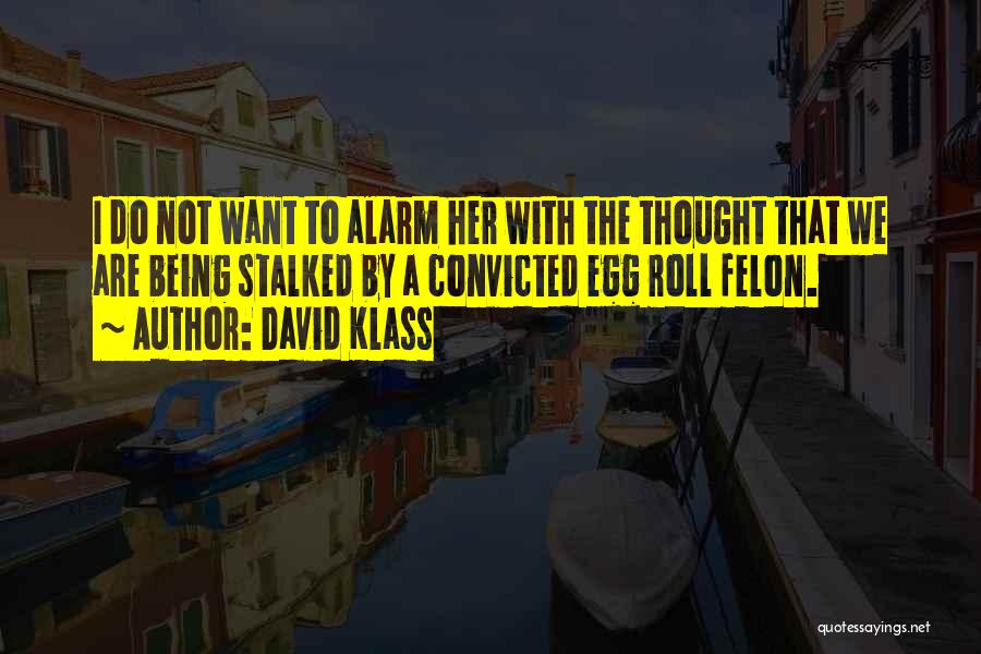David Klass Quotes 719058