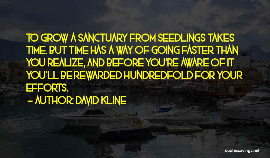 David Kline Quotes 1237097