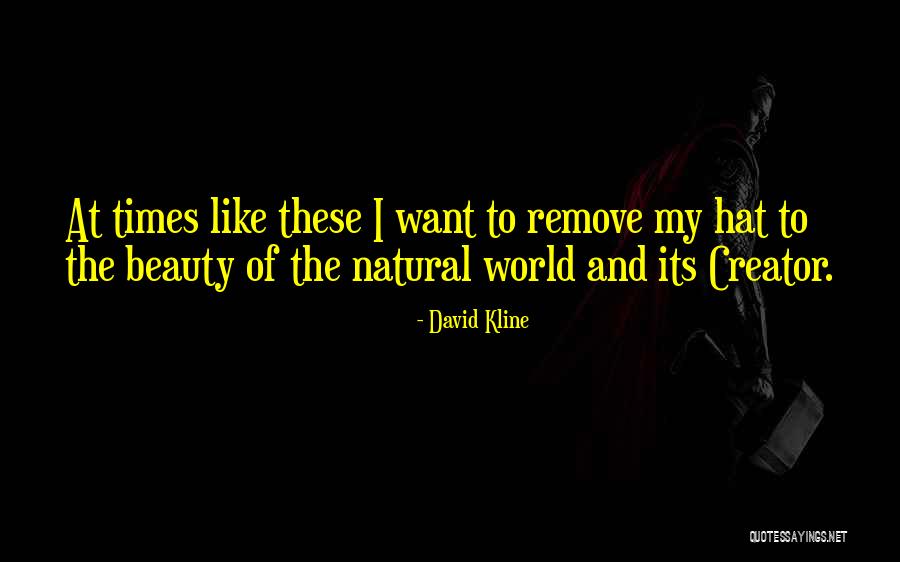 David Kline Quotes 1995285 David Kline Quotes 1995285