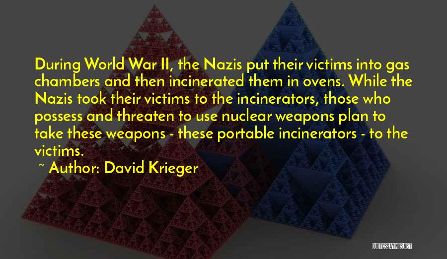 David Krieger Quotes 679870