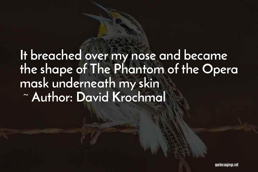 David Krochmal Quotes 214107