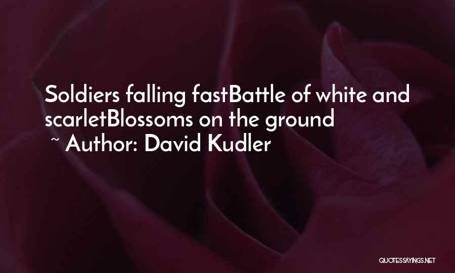 David Kudler Quotes 397238