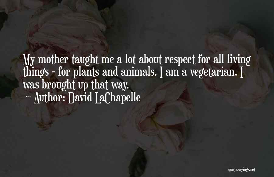 David LaChapelle Quotes 443377