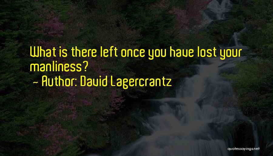 David Lagercrantz Quotes 2021476