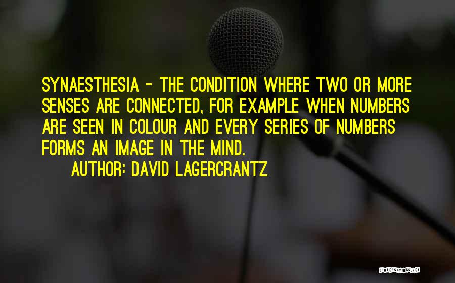 David Lagercrantz Quotes 487012