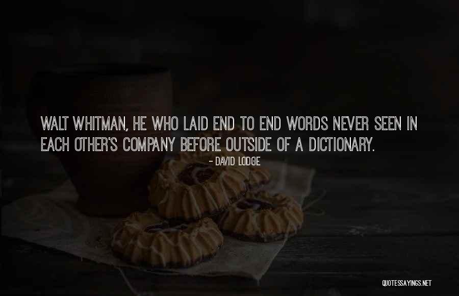 David Laid Quotes By David Lodge David Laid Quotes By David Lodge