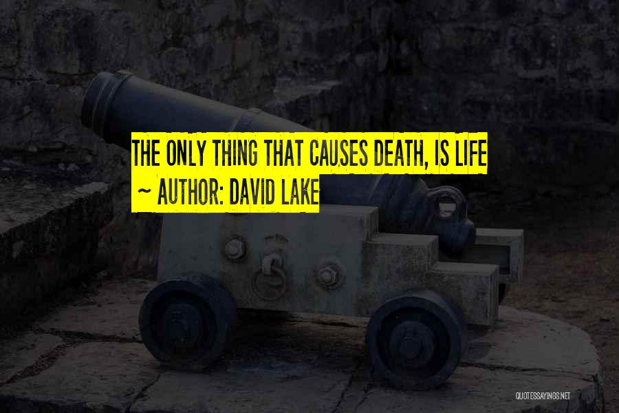 David Lake Quotes 365497