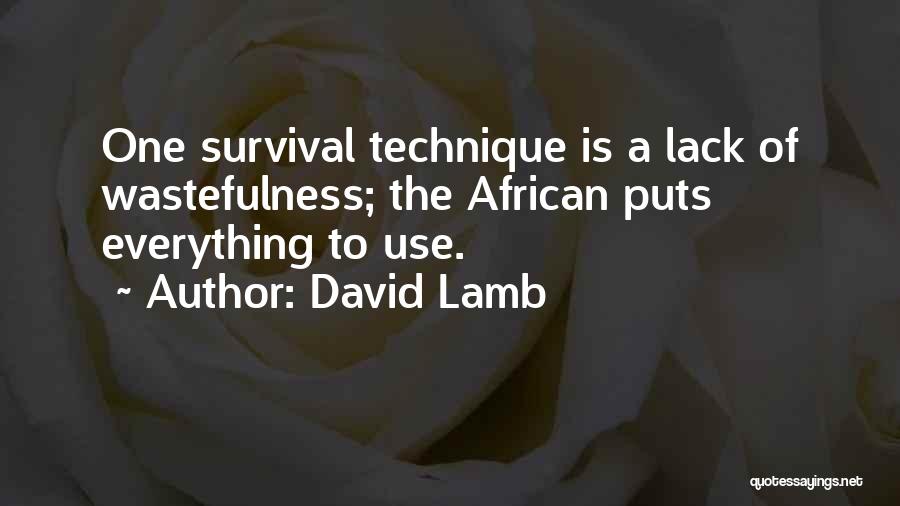 David Lamb Quotes 697503