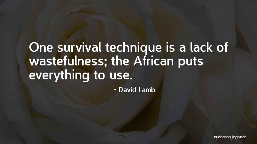 David Lamb Quotes 697503