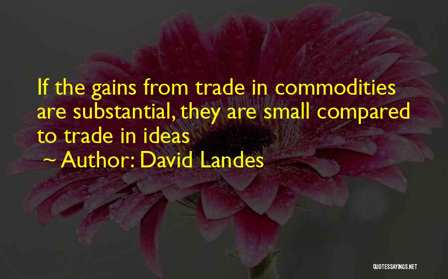 David Landes Quotes 209479