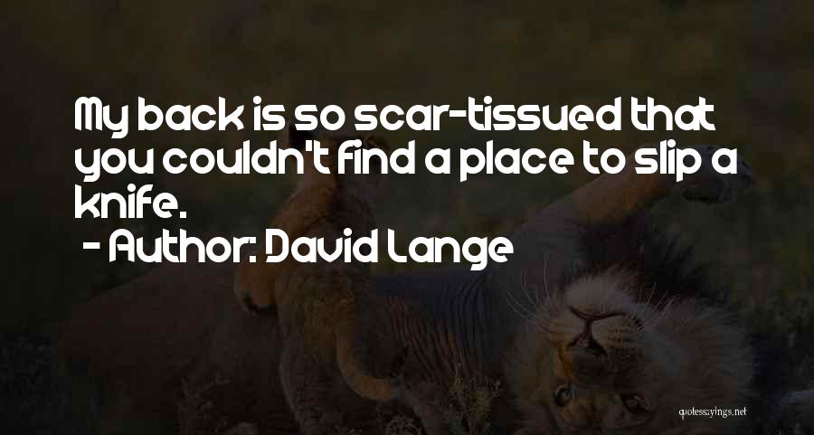 David Lange Quotes 1403268