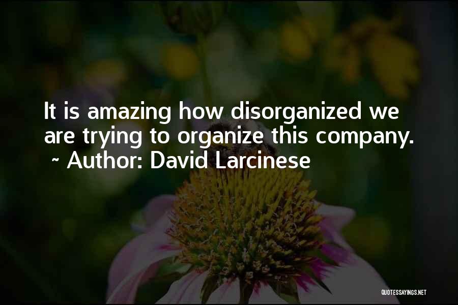 David Larcinese Quotes 851830