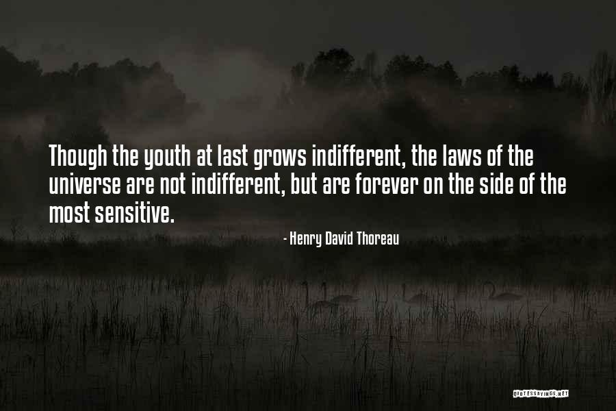 David Laws Quotes By Henry David Thoreau David Laws Quotes By Henry David Thoreau