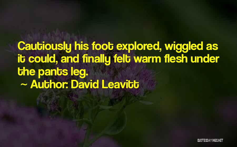 David Leavitt Quotes 1148014