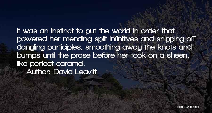 David Leavitt Quotes 2260561