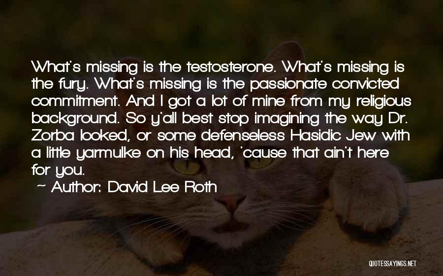 David Lee Roth Quotes 1060661