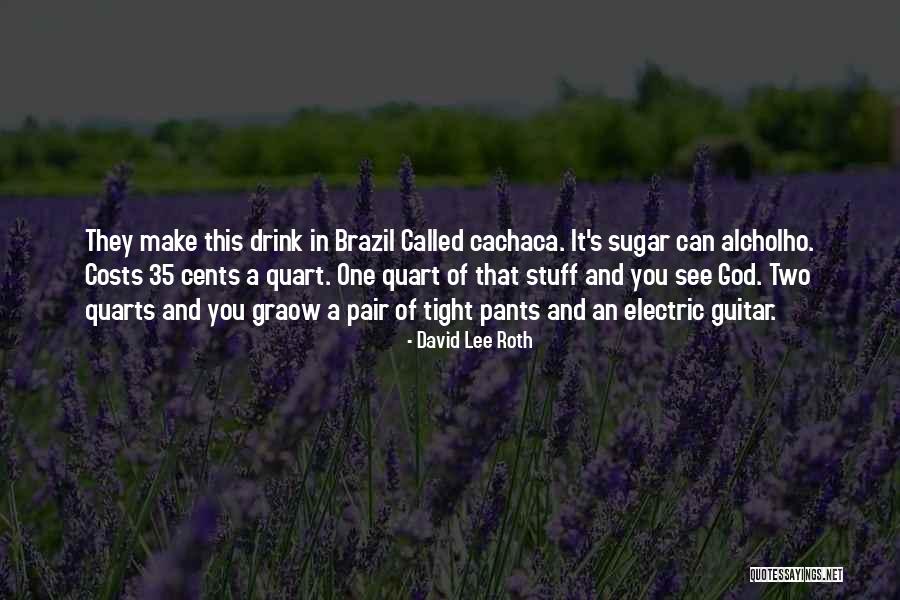 David Lee Roth Quotes 2187665 David Lee Roth Quotes 2187665
