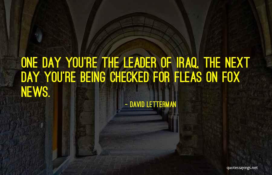 David Letterman Quotes 1137731