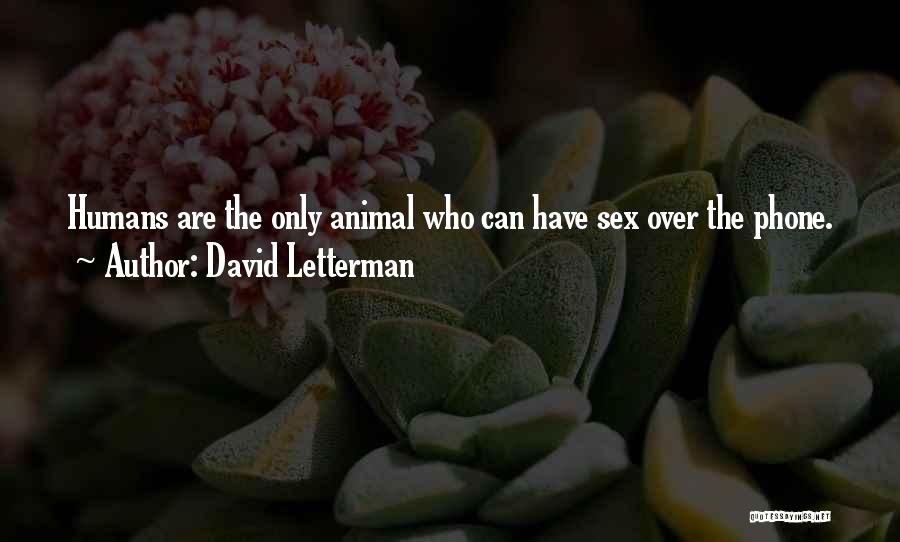 David Letterman Quotes 1784618