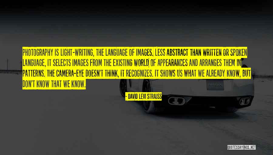 David Levi Strauss Quotes 1239111