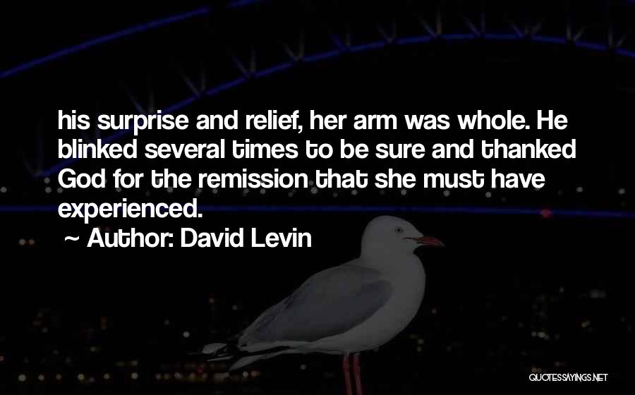 David Levin Quotes 379500